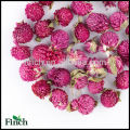 Health Benefits Herbal Tea Gomphrena Globosa Flower Tea Good For Skin